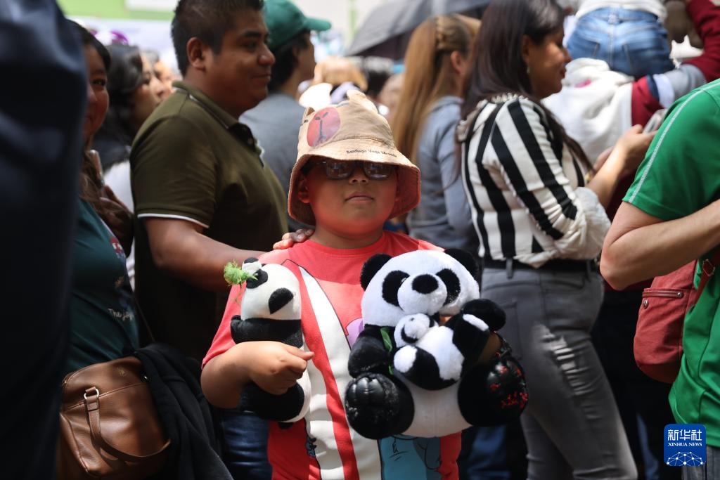 墨西哥举行大熊猫“欣欣”35岁生日庆祝活动 墨西哥举行大熊猫“欣欣”35岁生日庆祝活动