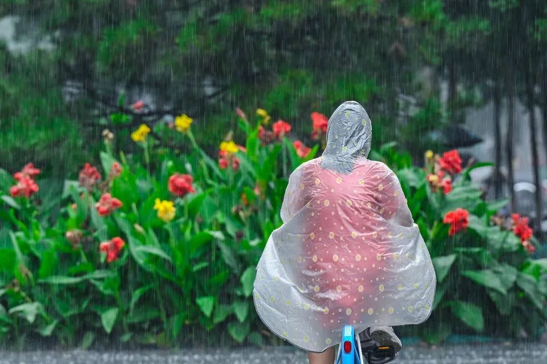 沈阳一地累计降水量全省第一！辽宁发布地质灾害预警！这场雨下到什么时候？