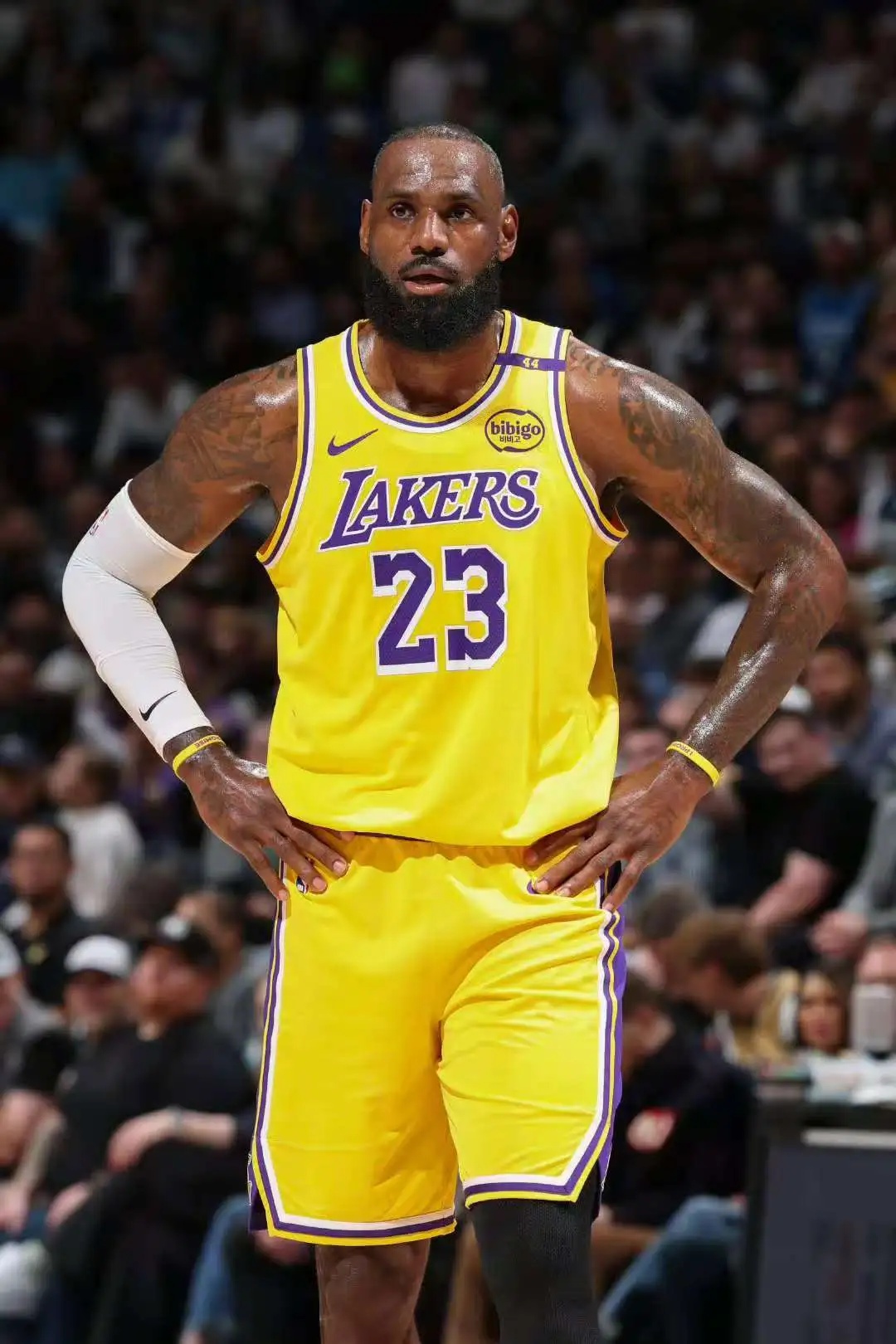 詹姆斯将执行球员选项留在湖人，下赛季将刷新NBA最长职业生涯纪录