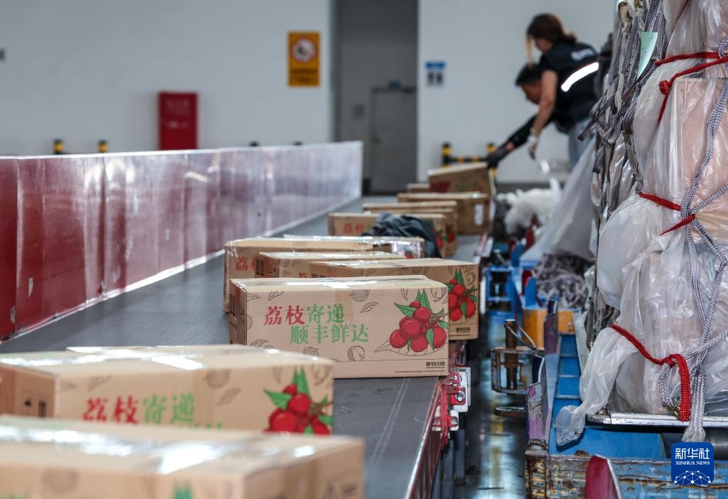 诗意中国丨从岭南到长安——荔枝的十二时辰