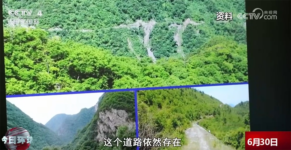川金丝猴建立“户口档案”、虎豹数量增长明显 美丽中国生态画卷徐徐铺展