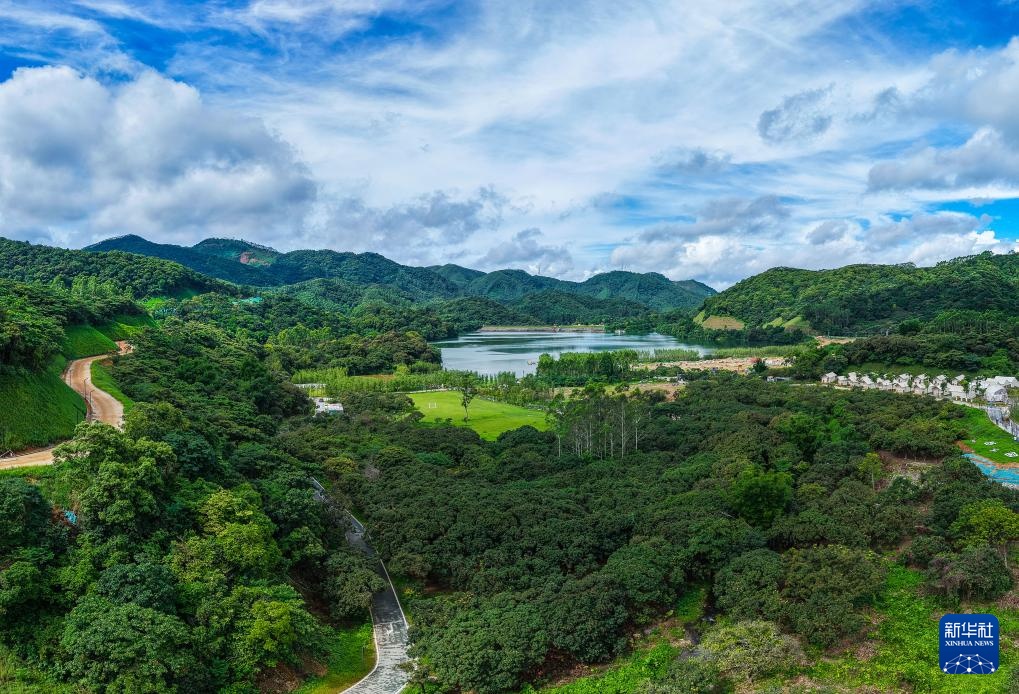 诗意中国丨从岭南到长安——荔枝的十二时辰