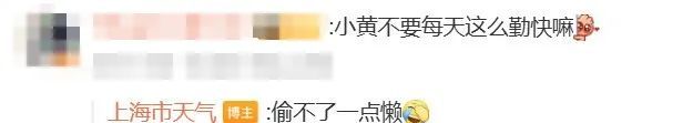 持续高温直冲40℃！连“下开水”的机会都没有，上海这两类天气极易忽视