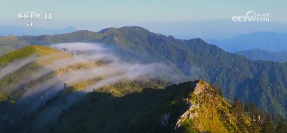 秦岭生态廊道守护生物多样“精彩” 勾勒人与自然和谐共生美好图景