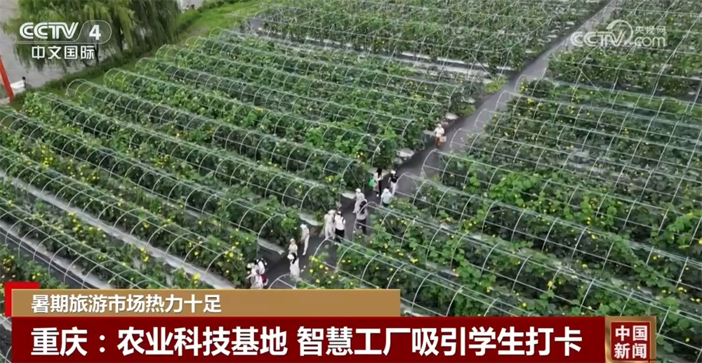 各地文旅场景“上新”活跃“夏日经济” 新供给激发暑期消费新活力 各地文旅场景“上新”活跃“夏日经济” 新供给激发暑期消费新活力