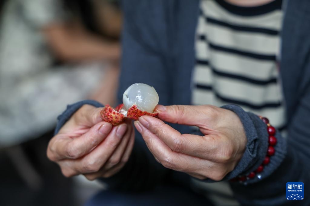 诗意中国丨从岭南到长安——荔枝的十二时辰