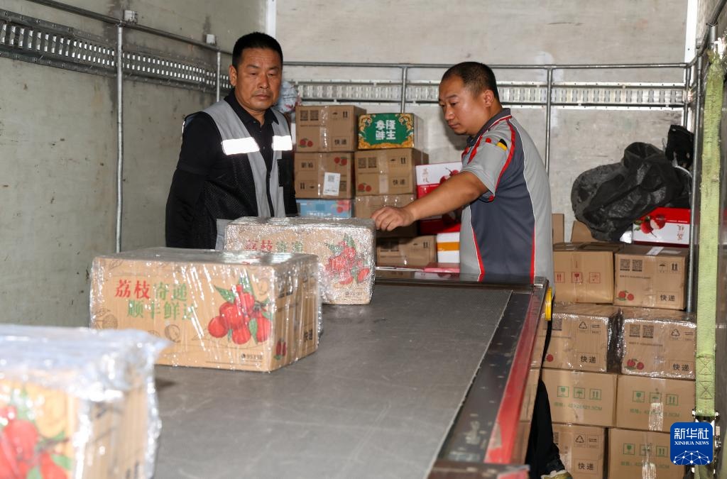 诗意中国丨从岭南到长安——荔枝的十二时辰