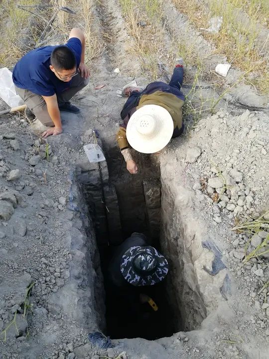 这一地，发现近千公里“硒腰带”！