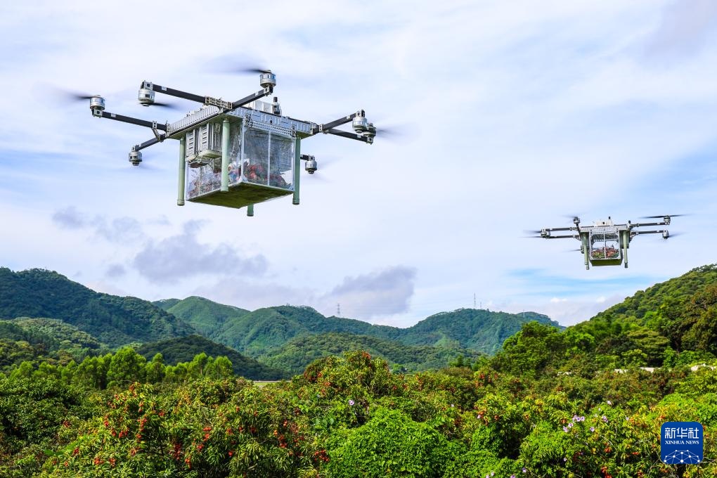 诗意中国丨从岭南到长安——荔枝的十二时辰