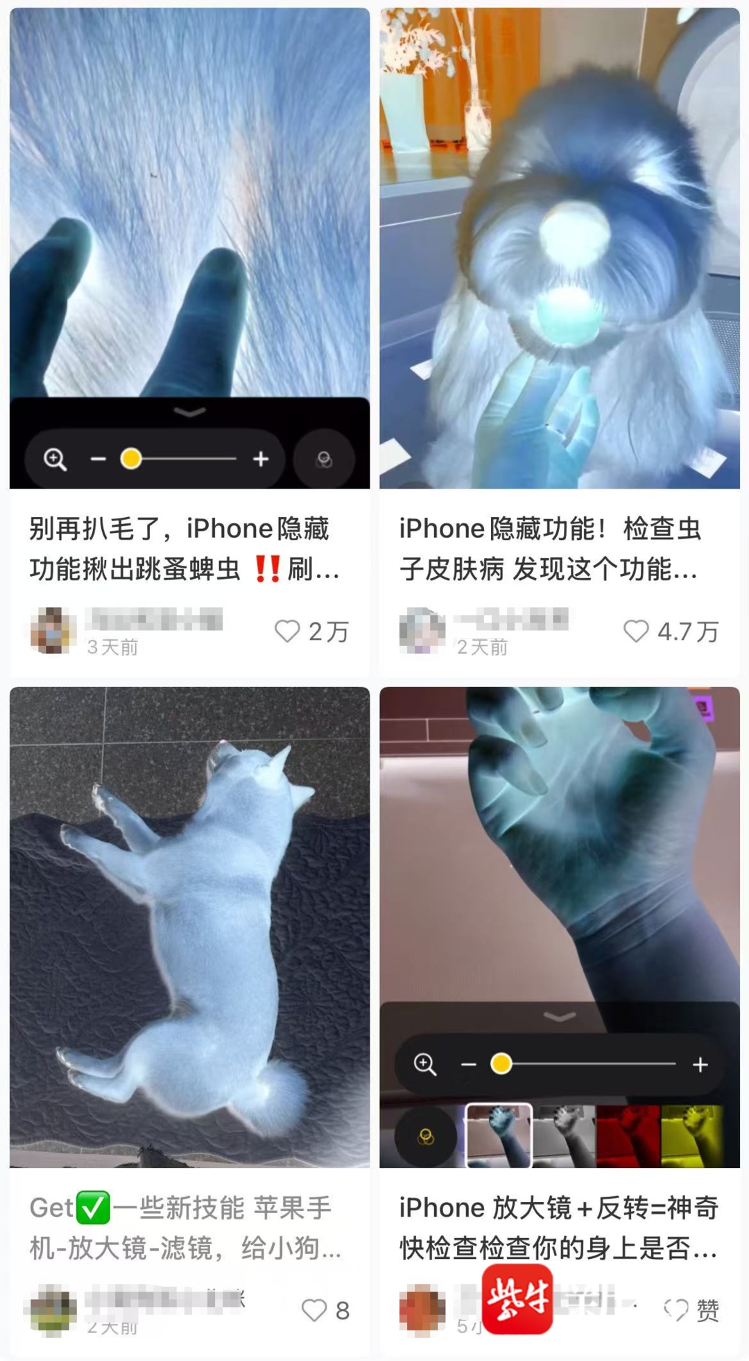 苹果放大器App可查出宠物身上有虫子？官方客服：暂无科学依据，只是巧合