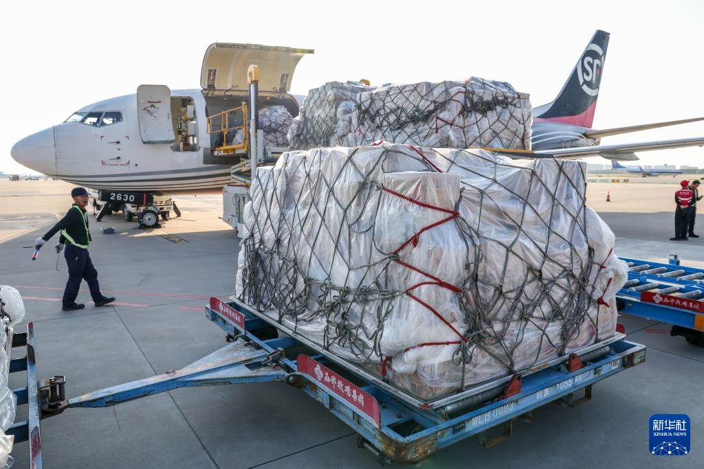 诗意中国丨从岭南到长安——荔枝的十二时辰