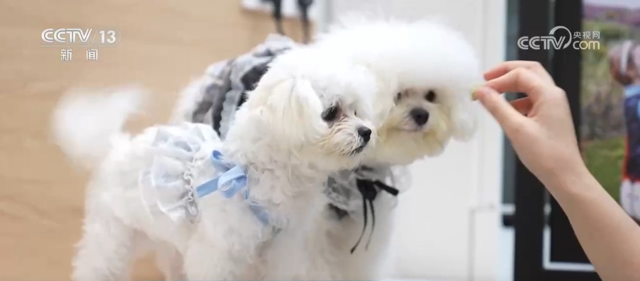 一批高校涉农专业“上新” “农业+”交叉融合创新培养“新农人” 一批高校涉农专业“上新” “农业+”交叉融合创新培养“新农人”