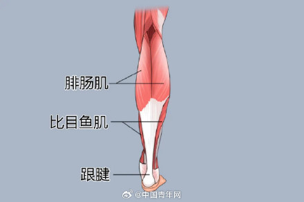 让小腿越来越粗的3种鞋