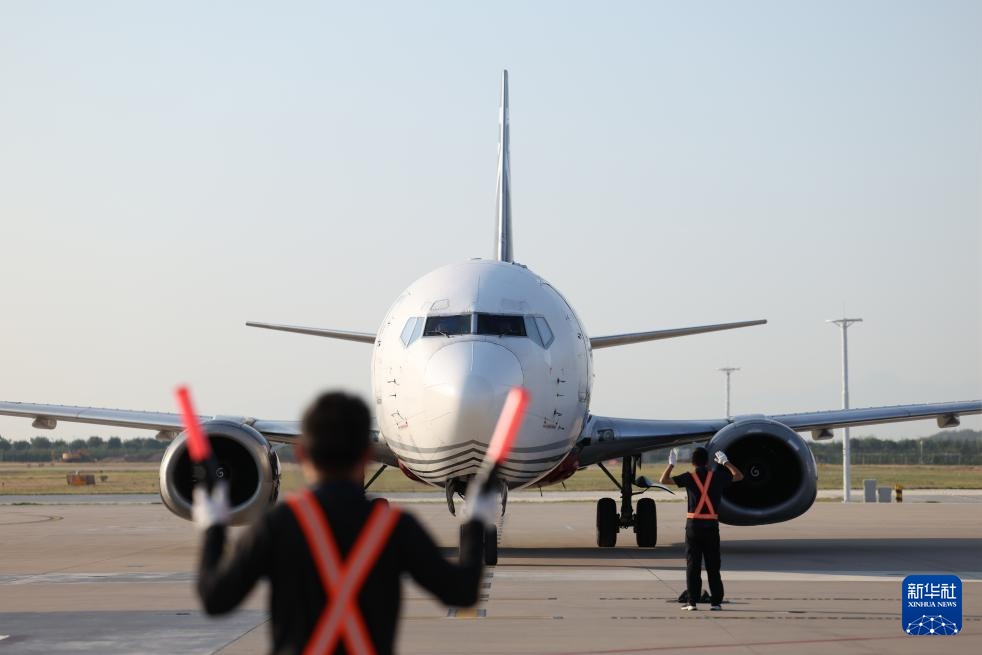 诗意中国丨从岭南到长安——荔枝的十二时辰