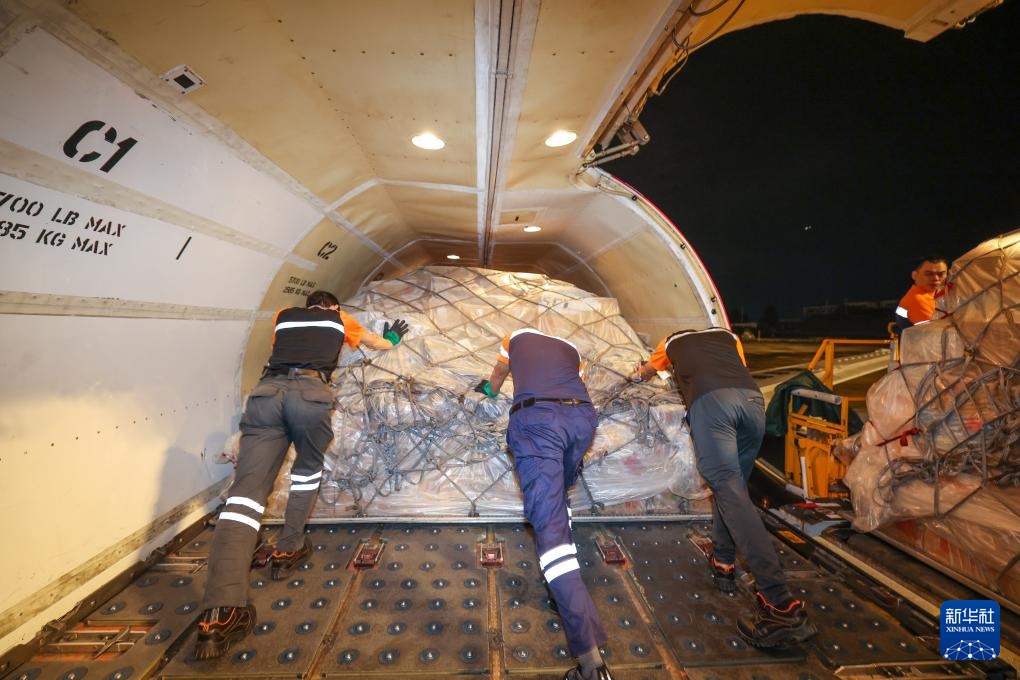 诗意中国丨从岭南到长安——荔枝的十二时辰