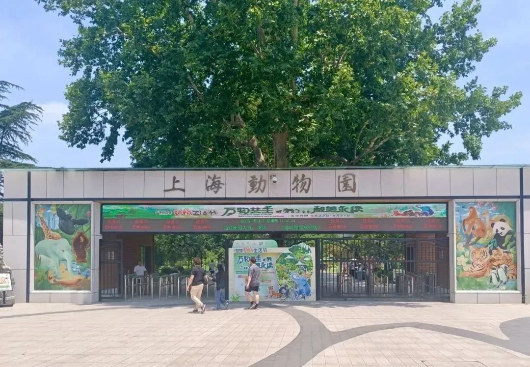 10月龄婴儿展馆内喝奶被赶？上海动物园：做法合规