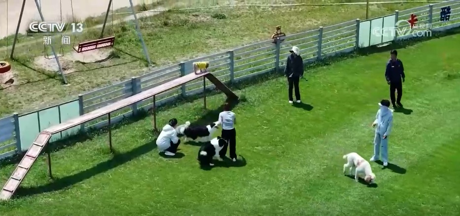 一批高校涉农专业“上新” “农业+”交叉融合创新培养“新农人” 一批高校涉农专业“上新” “农业+”交叉融合创新培养“新农人”