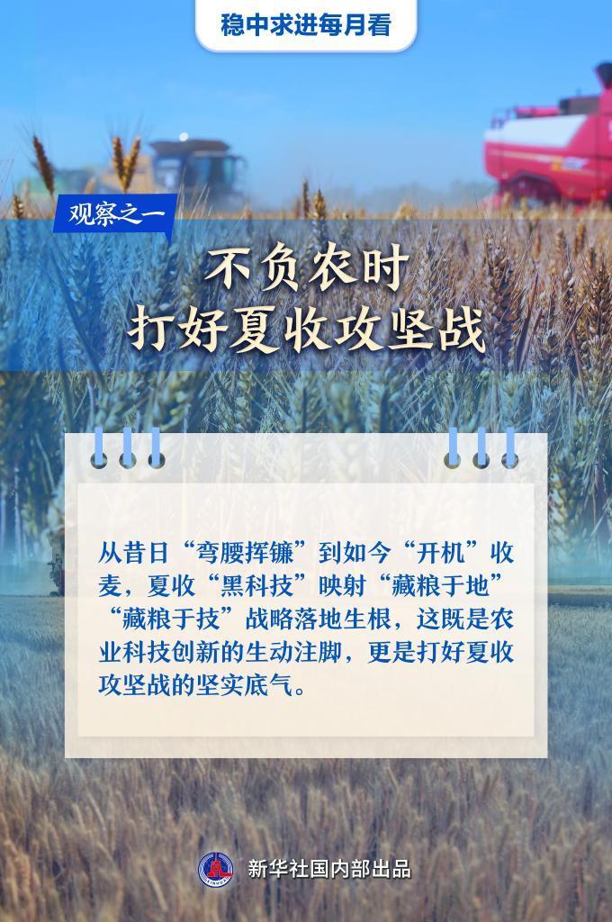 万物竞发绘新景——6月全国各地经济社会发展观察