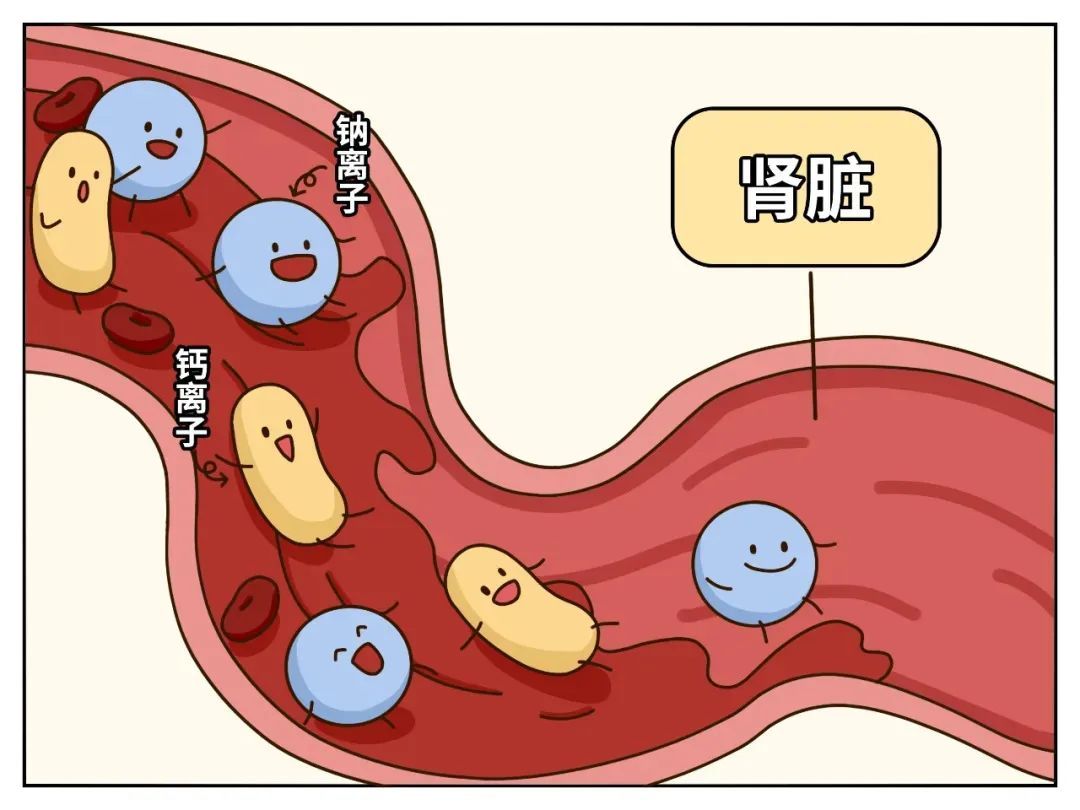 一个让骨头越来越脆的习惯,很多人每天都在做 一个让骨头越来越脆的习惯,很多人每天都在做