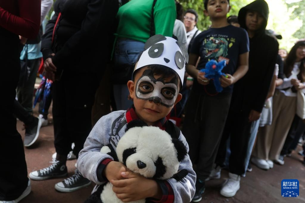 墨西哥举行大熊猫“欣欣”35岁生日庆祝活动 墨西哥举行大熊猫“欣欣”35岁生日庆祝活动