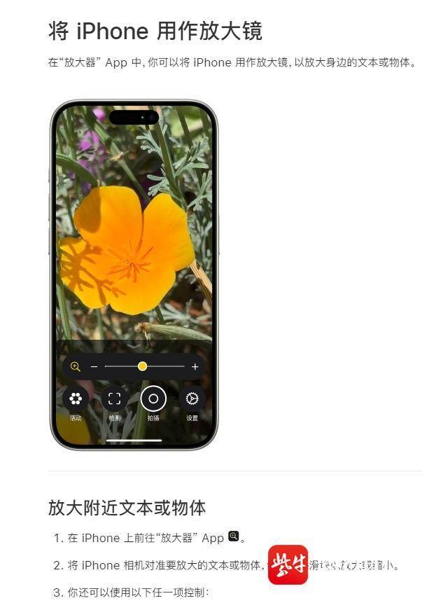 苹果放大器App可查出宠物身上有虫子？官方客服：暂无科学依据，只是巧合