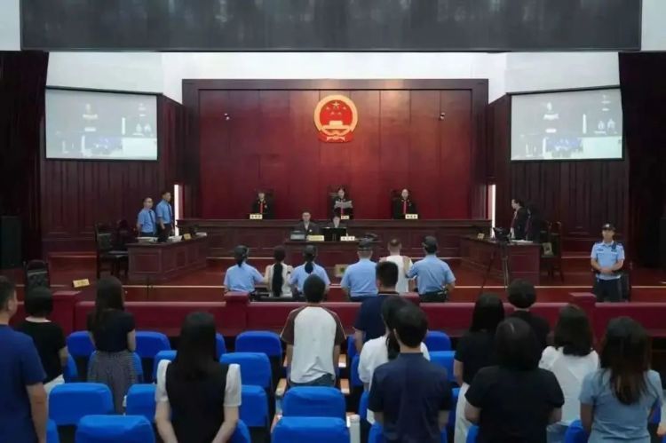 造谣大熊猫被虐待，白某某、徐某获刑！