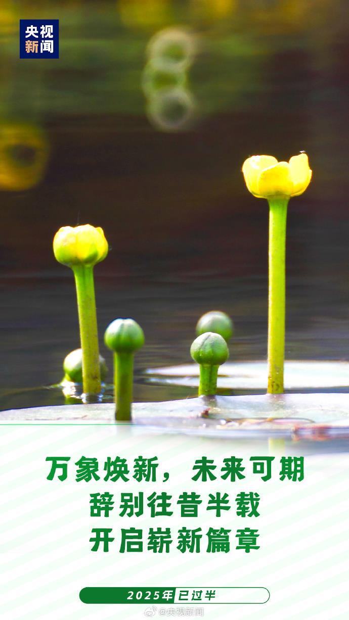 2025已过半：愿你每天进步 不负时光