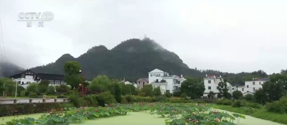 林下经济“点绿成金” “林+”模式为乡村振兴增添绿色动能 林下经济“点绿成金” “林+”模式为乡村振兴增添绿色动能