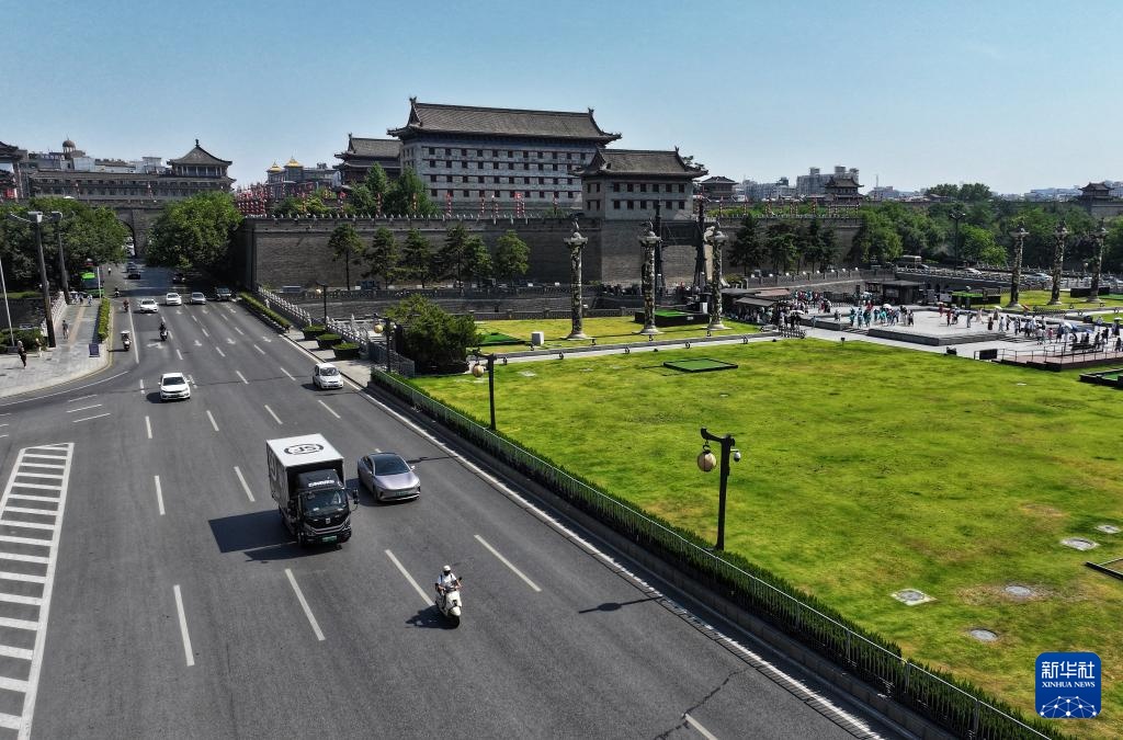 诗意中国丨从岭南到长安——荔枝的十二时辰