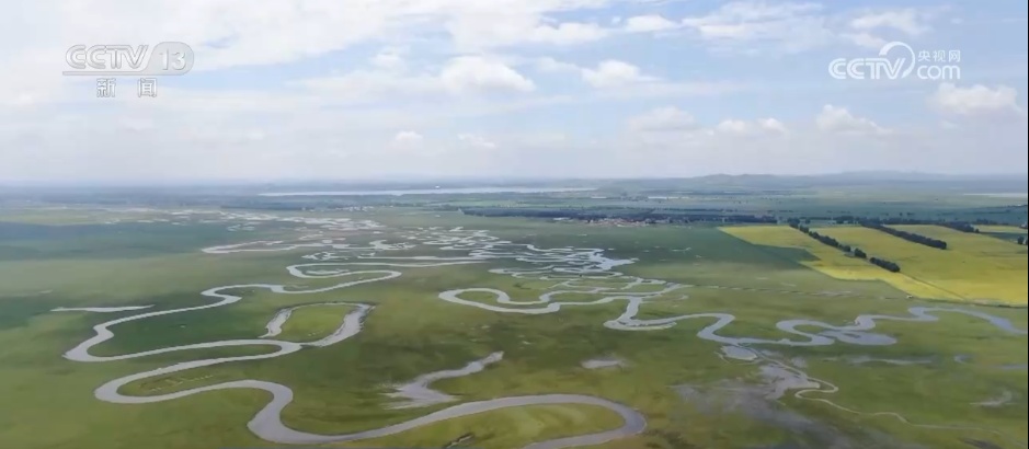 林下经济“点绿成金” “林+”模式为乡村振兴增添绿色动能 林下经济“点绿成金” “林+”模式为乡村振兴增添绿色动能