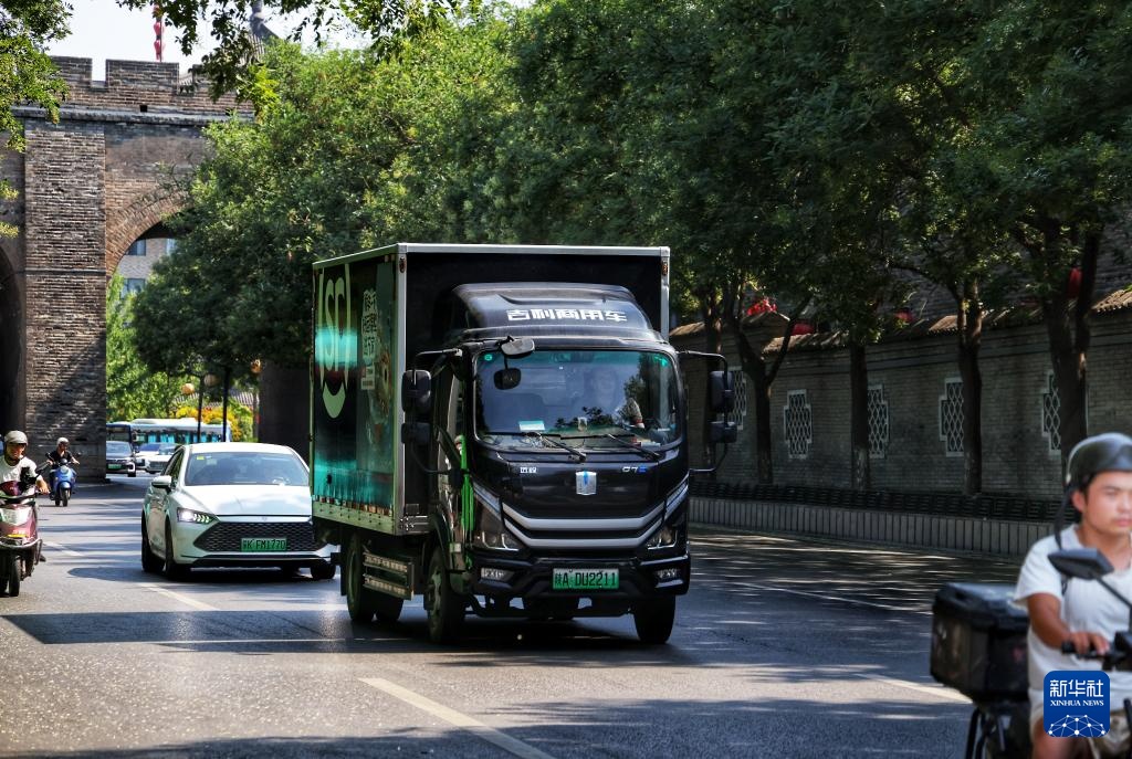 诗意中国丨从岭南到长安——荔枝的十二时辰