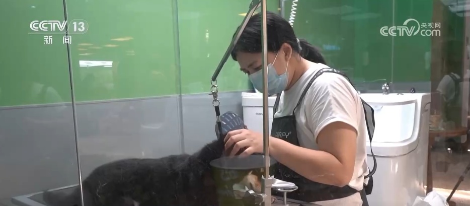 一批高校涉农专业“上新” “农业+”交叉融合创新培养“新农人” 一批高校涉农专业“上新” “农业+”交叉融合创新培养“新农人”