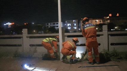 福建泉州城区惊现3米、38斤大蟒蛇！3名消防员合力抬走