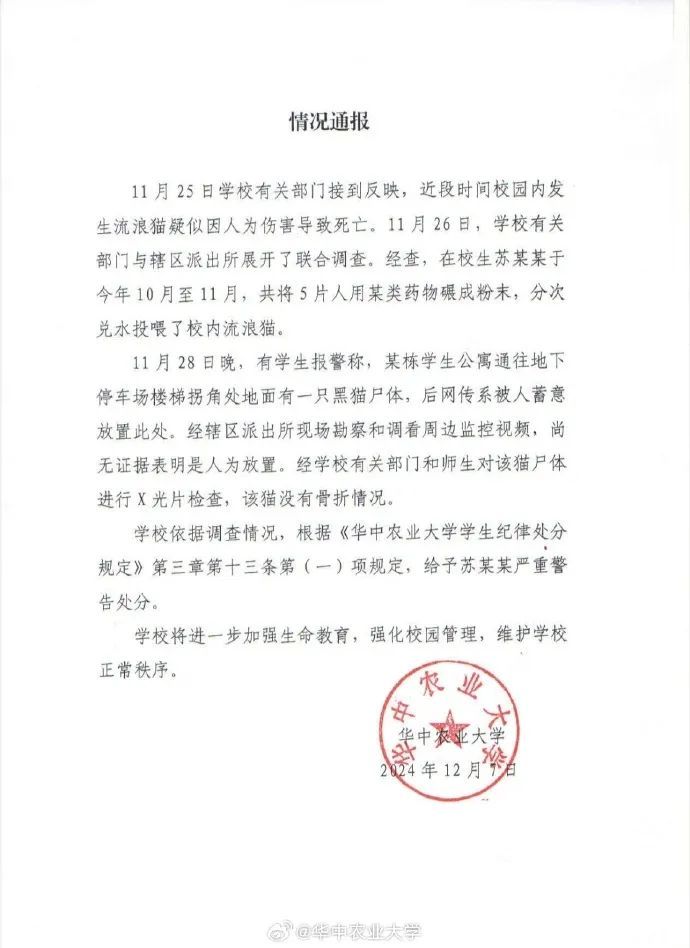 桂林一事业单位招录考察人选曾虐猫?单位回应正在政审阶段 桂林一事业单位招录考察人选曾虐猫?单位回应正在政审阶段