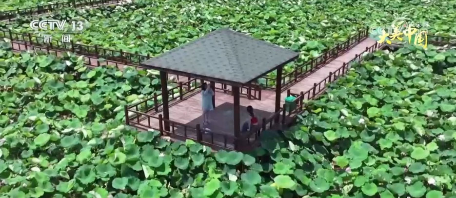 水清岸绿风景美 “生态+文旅”融合发展为夏日出游“增色添彩”