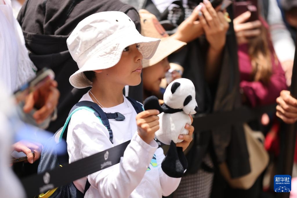 墨西哥举行大熊猫“欣欣”35岁生日庆祝活动 墨西哥举行大熊猫“欣欣”35岁生日庆祝活动