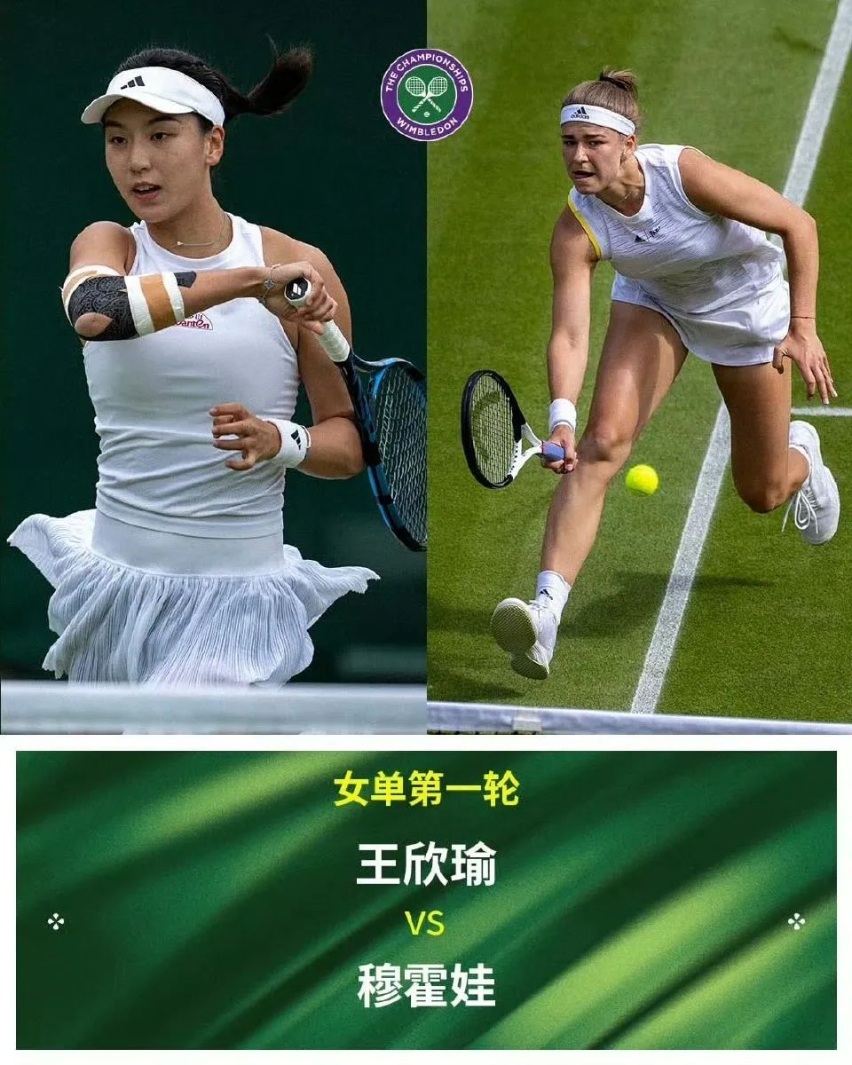 今日开赛！郑钦文首轮就是硬仗
