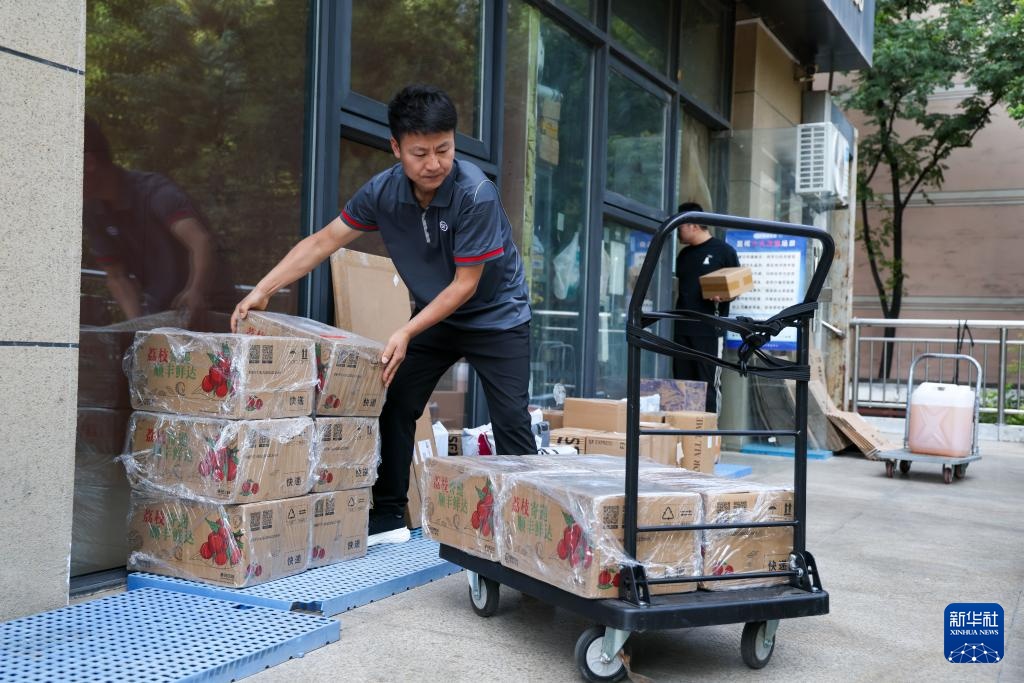 诗意中国丨从岭南到长安——荔枝的十二时辰