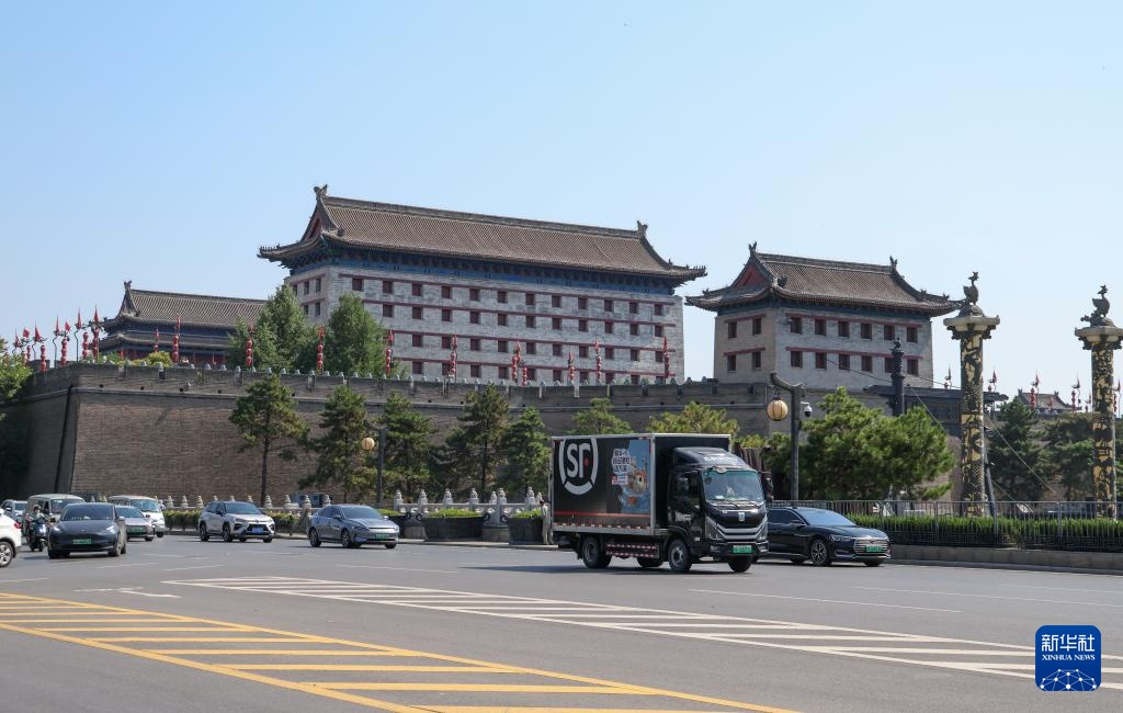 诗意中国丨从岭南到长安——荔枝的十二时辰