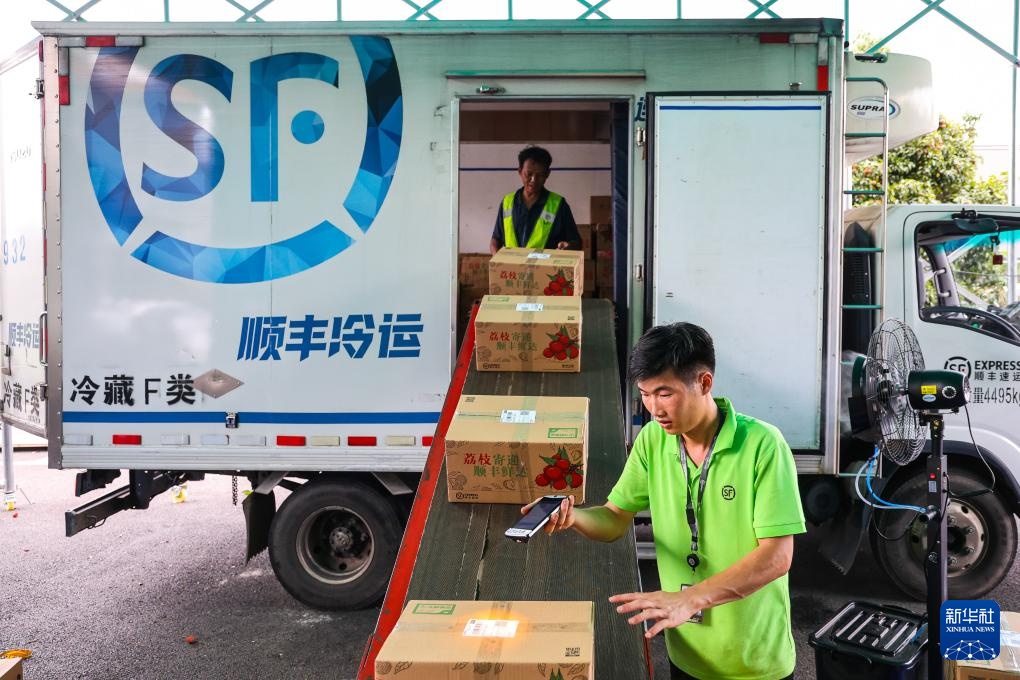 诗意中国丨从岭南到长安——荔枝的十二时辰