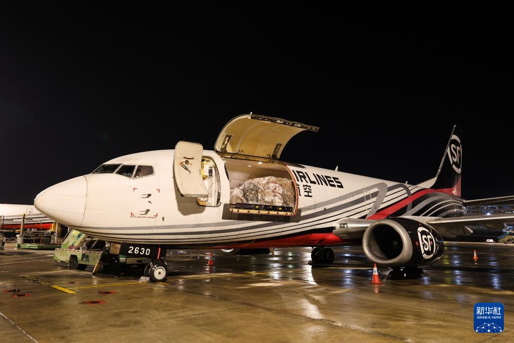 诗意中国丨从岭南到长安——荔枝的十二时辰