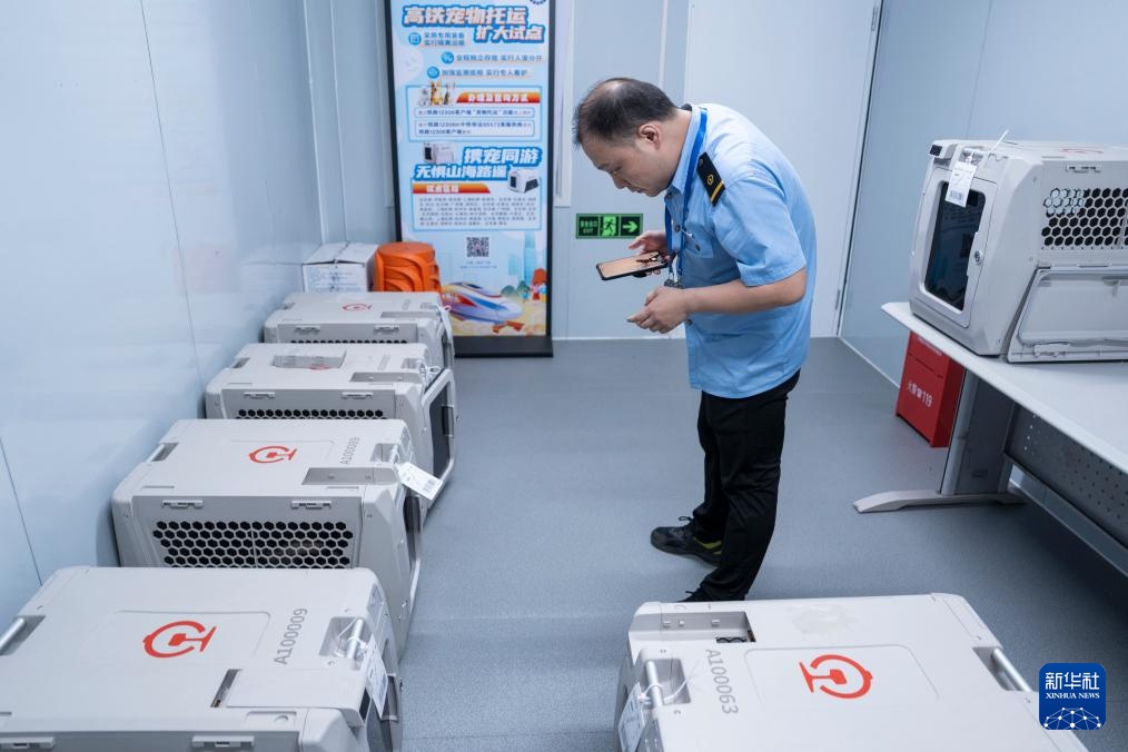 武汉:“萌宠”旅客乘高铁 武汉:“萌宠”旅客乘高铁