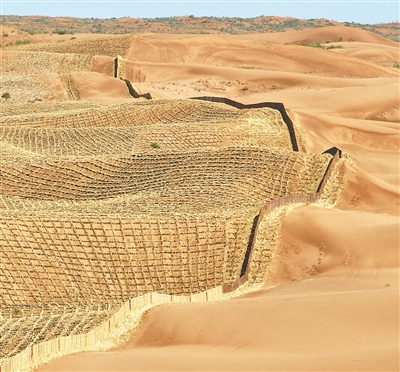 腾格里沙漠织就153公里“绿围脖” 腾格里沙漠织就153公里“绿围脖”