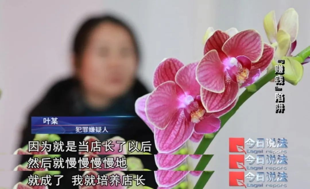 超6万人身陷文玩传销平台,交易金额近10亿…… 超6万人身陷文玩传销平台,交易金额近10亿……