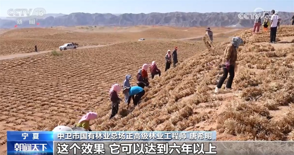 防沙治沙新技术、新模式书写“绿色答卷” 宁夏境内腾格里沙漠锁边全面完成
