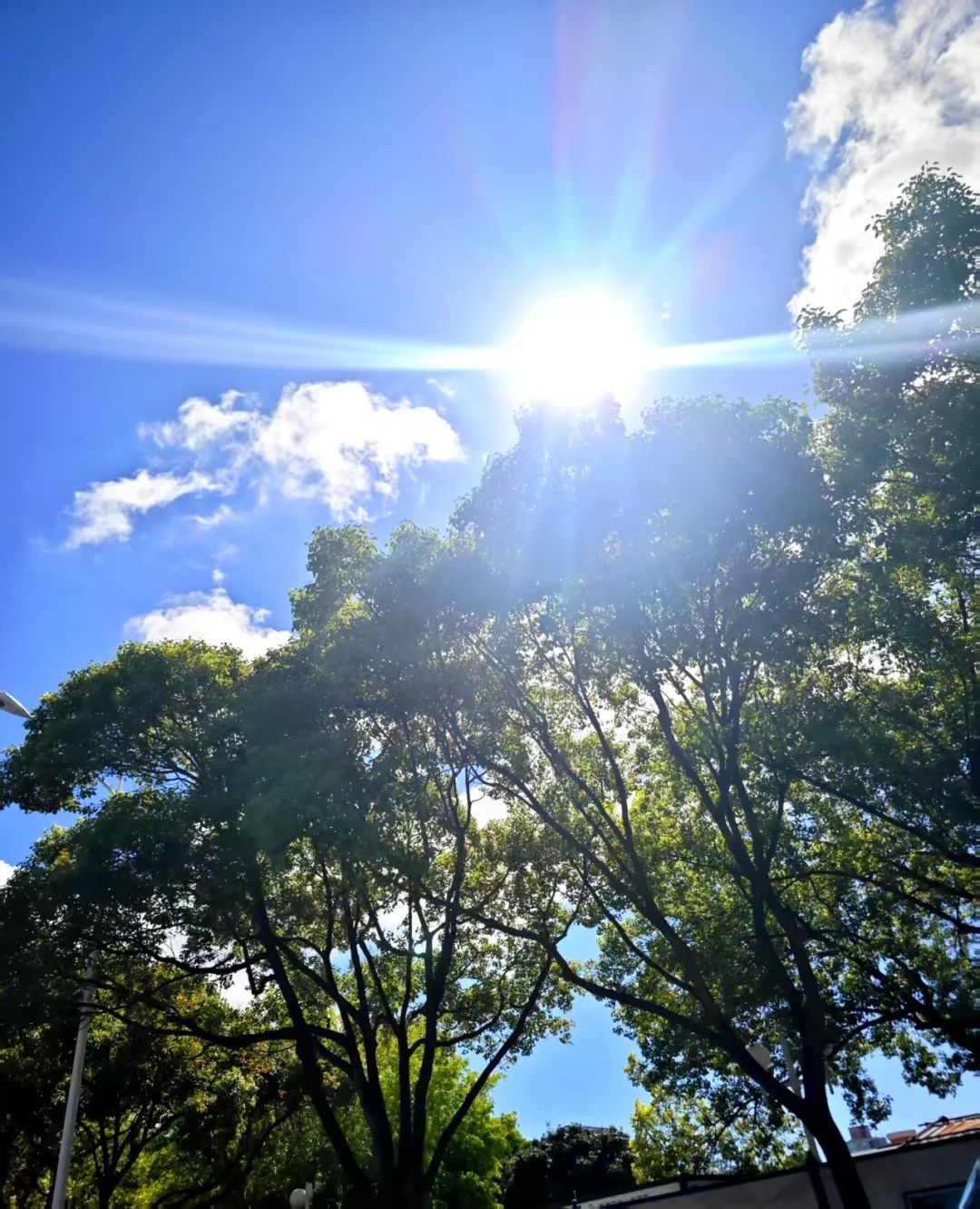 直冲39.5℃!厦门发布预警!高温持续到…… 直冲39.5℃!厦门发布预警!高温持续到……