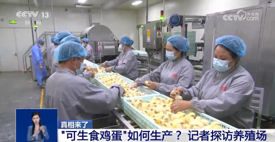 号称“无菌蛋” 真的无菌吗？还能放心吃吗？