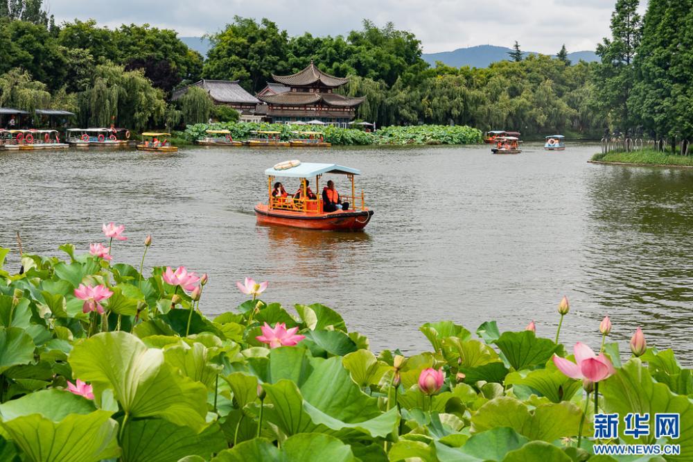 昆明荷花初绽 古典园林夏韵浓 昆明荷花初绽 古典园林夏韵浓
