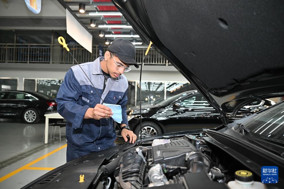 埃及青年 师出津城 埃及青年 师出津城
