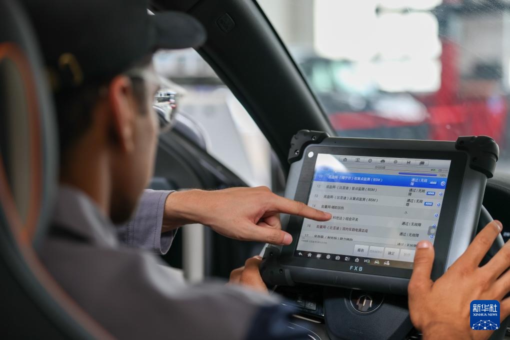 埃及青年 师出津城 埃及青年 师出津城